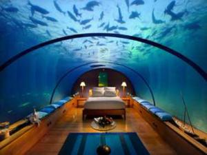 88466_kamar_bawah_laut_di_conrad_maldives_rangali_island_300_225