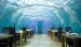 poseidon-underwater-hotel1